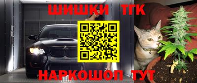 прущие грибы Малгобек
