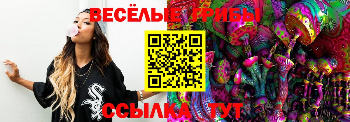 Псилоцибиновые грибы Psilocybe Воткинск