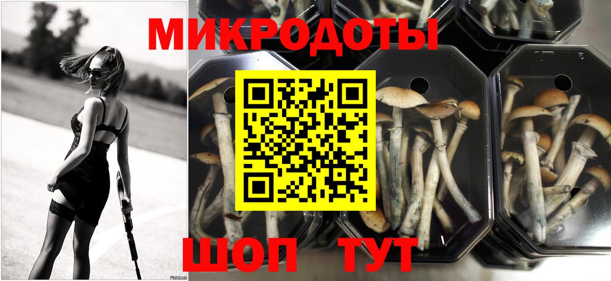 Воткинск  Псилоцибиновые грибы MAGIC MUSHROOMS  Галлюциногенные грибы мухоморы  Вход с VPN 